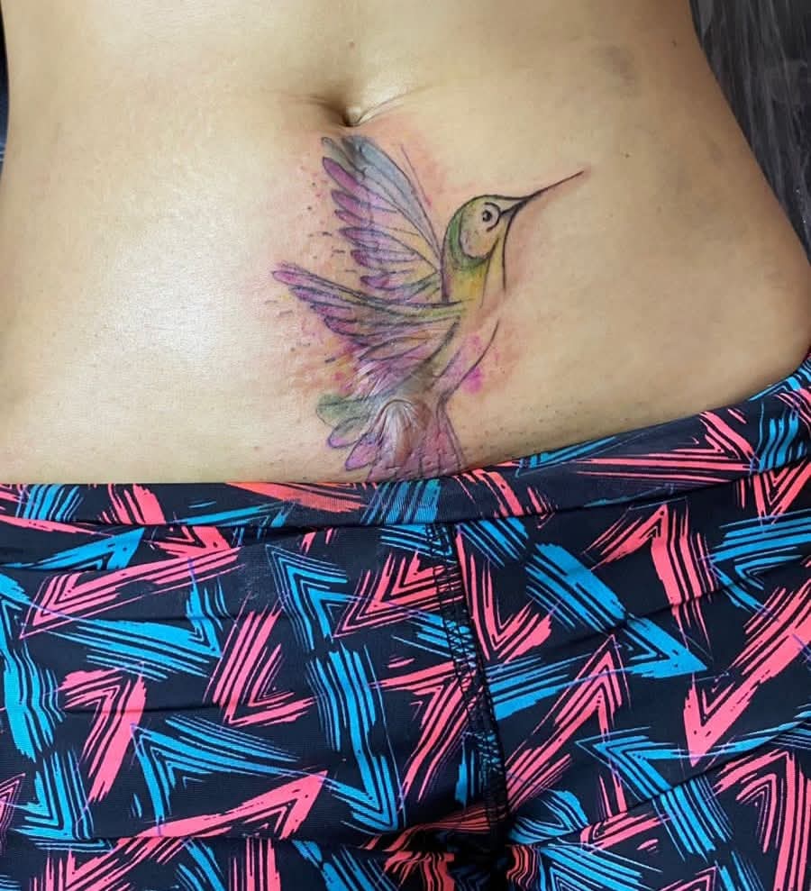 Colibrí en Vuelo